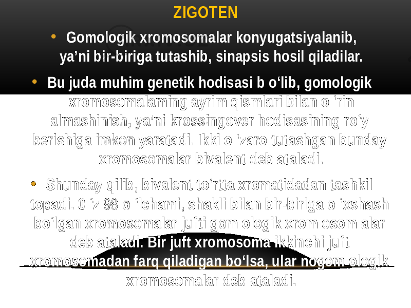 ZIGOTEN • Gomologik xromosomalar konyugatsiyalanib, ya’ni bir-biriga tutashib, sinapsis hosil qiladilar. • Bu juda muhim genetik hodisasi b o‘lib, gomologik xromosomalaming ayrim qismlari bilan o ‘rin almashinish, ya’ni krossingover hodisasining ro‘y berishiga imkon yaratadi. Ikki o ‘zaro tutashgan bunday xromosomalar bivalent deb ataladi. • Shunday qilib, bivalent to‘rtta xromatidadan tashkil topadi. 0 ‘z 98 o ‘lchami, shakli bilan bir-biriga o ‘xshash bo‘lgan xromosomalar jufti gom ologik xrom osom alar deb ataladi. Bir juft xromosoma ikkinchi juft xromosomadan farq qiladigan bo‘lsa, ular nogom ologik xromosomalar deb ataladi. 