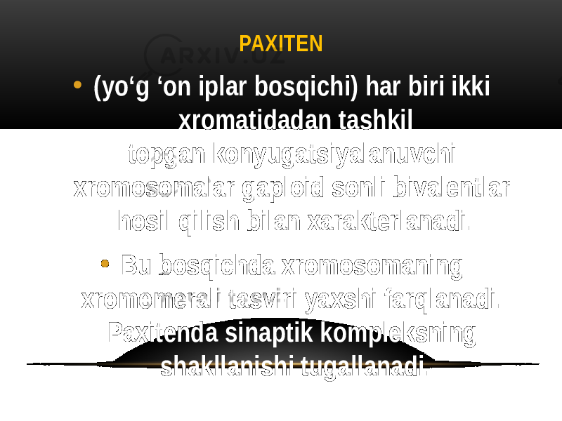 PAXITEN • (yo‘g ‘on iplar bosqichi) har biri ikki xromatidadan tashkil topgan konyugatsiyalanuvchi xromosomalar gaploid sonli bivalentlar hosil qilish bilan xarakterlanadi. • Bu bosqichda xromosomaning xromomerali tasviri yaxshi farqlanadi. Paxitenda sinaptik kompleksning shakllanishi tugallanadi. 