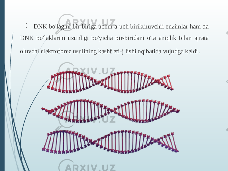  DNK bo&#39;lagini bir-biriga uchm a-uch biriktiruvchii enzimlar ham da DNK bo&#39;laklarini uzunligi bo&#39;yicha bir-biridani o&#39;ta aniqlik bilan ajrata oluvchi elektroforez usulining kashf eti-j lishi oqibatida vujudga keldi . 