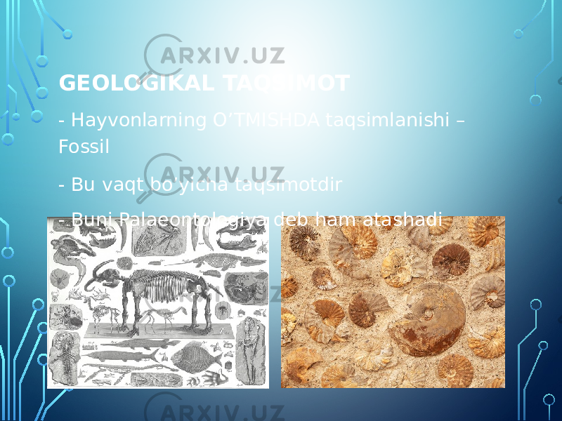 GEOLOGIKAL TAQSIMOT - Hayvonlarning O’TMISHDA taqsimlanishi – Fossil - Bu vaqt bo’yicha taqsimotdir - Buni Palaeontologiya deb ham atashadi 