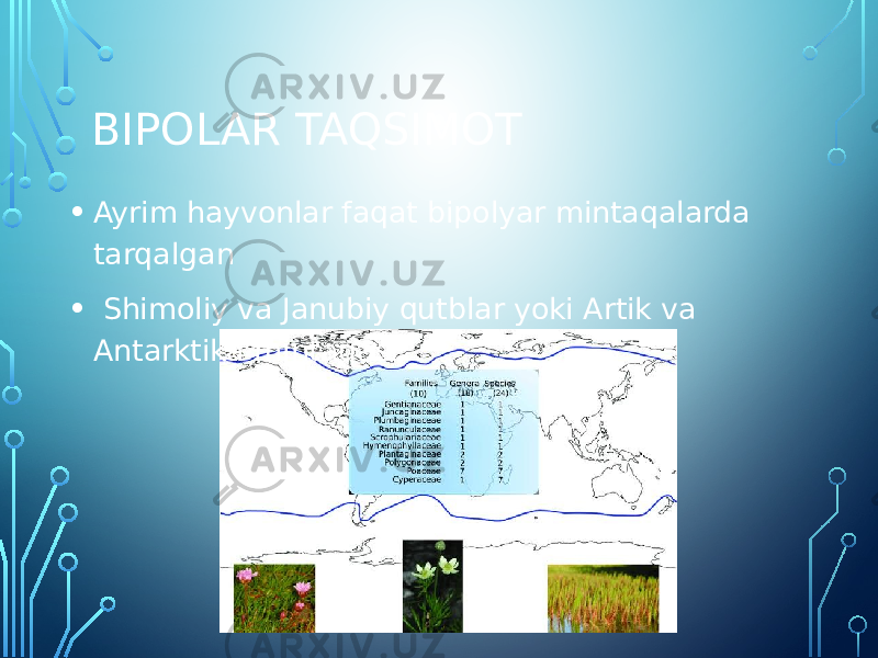 BIPOLAR TAQSIMOT • Ayrim hayvonlar faqat bipolyar mintaqalarda tarqalgan • Shimoliy va Janubiy qutblar yoki Artik va Antarktika mintaqasi 