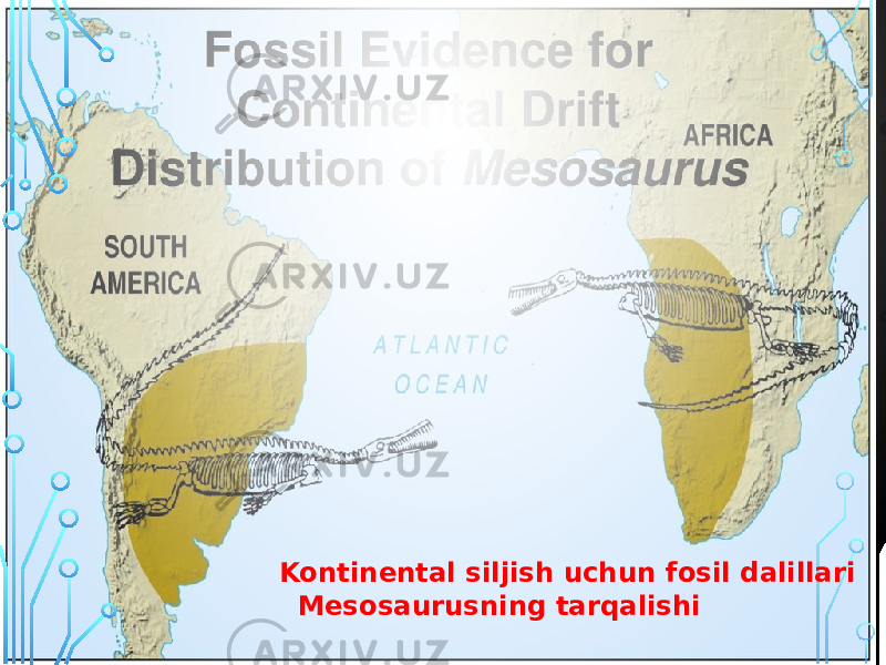 Kontinental siljish uchun fosil dalillari Mesosaurusning tarqalishi 