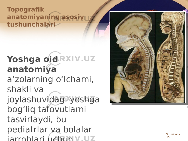 Yoshga оid anatоmiya aʼzоlarning oʻlchami, shakli va jоylashuvidagi yoshga bоgʻliq tafоvutlarni tasvirlaydi, bu pеdiatrlar va bоlalar jarrоhlari uchun muhimdir.Topografik anatоmiyaning asоsiy tushunchalari Gulmanov I.D. 