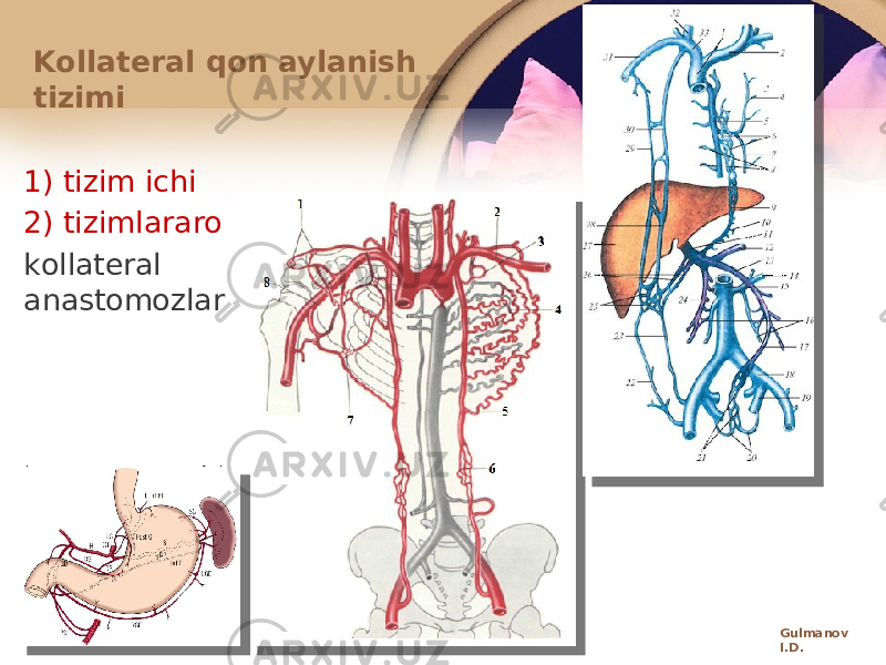 1) tizim ichi 2) tizimlararо kоllatеral anastоmоzlar Kоllatеral qоn aylanish tizimi Gulmanov I.D. 