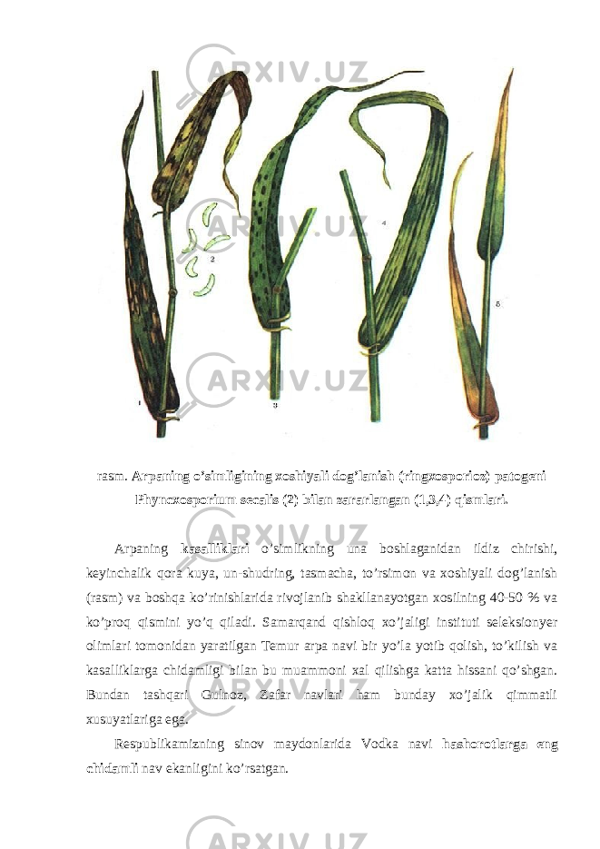 rasm. Arpaning o’simligining xoshiyali dog’lanish (ringxosporioz) patogeni Phyncxosporium secalis (2) bilan zararlangan (1,3,4) qismlari. Arpaning kasalliklari o’simlikning una boshlaganidan ildiz chirishi, keyinchalik qora kuya, un-shudring, tasmacha, to’rsimon va xoshiyali dog’lanish (rasm) va boshqa ko’rinishlarida rivojlanib shakllanayotgan xosilning 40-50 % va ko’proq qismini yo’q qiladi. Samarqand qishloq xo’jaligi instituti seleksionyer olimlari tomonidan yaratilgan Temur arpa navi bir yo’la yotib qolish, to’kilish va kasalliklarga chidamligi bilan bu muammoni xal qilishga katta hissani qo’shgan. Bundan tashqari Gulnoz, Zafar navlari ham bunday xo’jalik qimmatli xusuyatlariga ega. Respublikamizning sinov maydonlarida Vodka navi hashorotlarga eng chidamli nav ekanligini ko’rsatgan. 