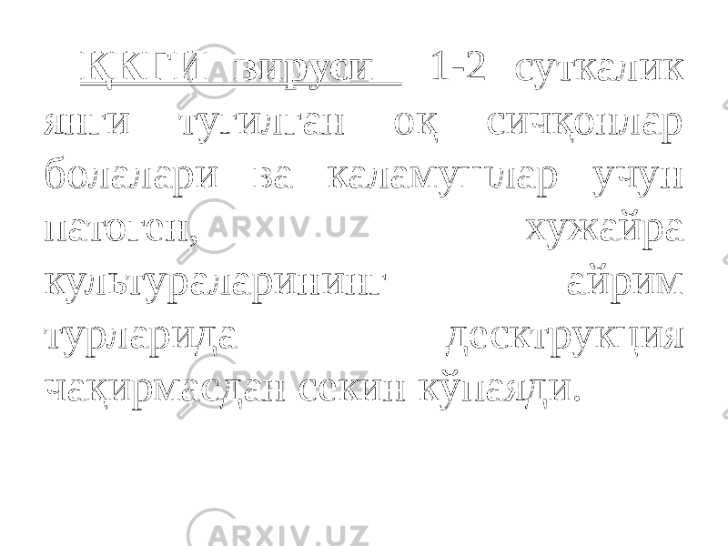 ҚКГИ вируси 1-2 суткалик янги туғилган оқ сичқонлар болалари ва каламушлар учун патоген, хужайра культураларининг айрим турларида десктрукция чақирмасдан секин кўпаяди. 