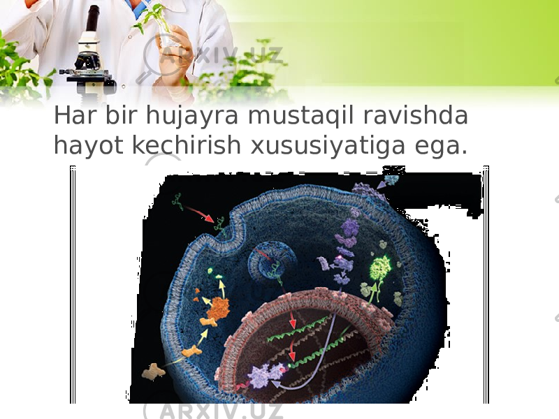 Har bir hujayra mustaqil ravishda hayot kechirish xususiyatiga ega. 