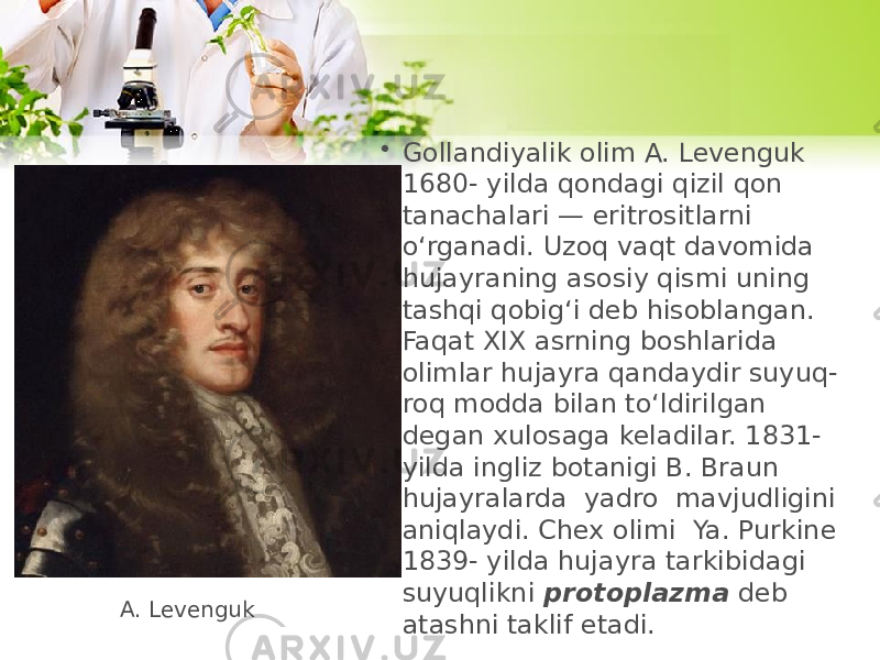 • Gollandiyalik olim A. Levenguk 1680- yilda qondagi qizil qon tanachalari — eritrositlarni o‘rganadi. Uzoq vaqt davomida hujayraning asosiy qismi uning tashqi qobig‘i deb hisoblangan. Faqat XIX asrning boshlarida olimlar hujayra qandaydir suyuq- roq modda bilan to‘ldirilgan degan xulosaga keladilar. 1831- yilda ingliz botanigi B. Braun hujayralarda yadro mavjudligini aniqlaydi. Chex olimi Ya. Purkine 1839- yilda hujayra tarkibidagi suyuqlikni protoplazma deb atashni taklif etadi.A. Levenguk 