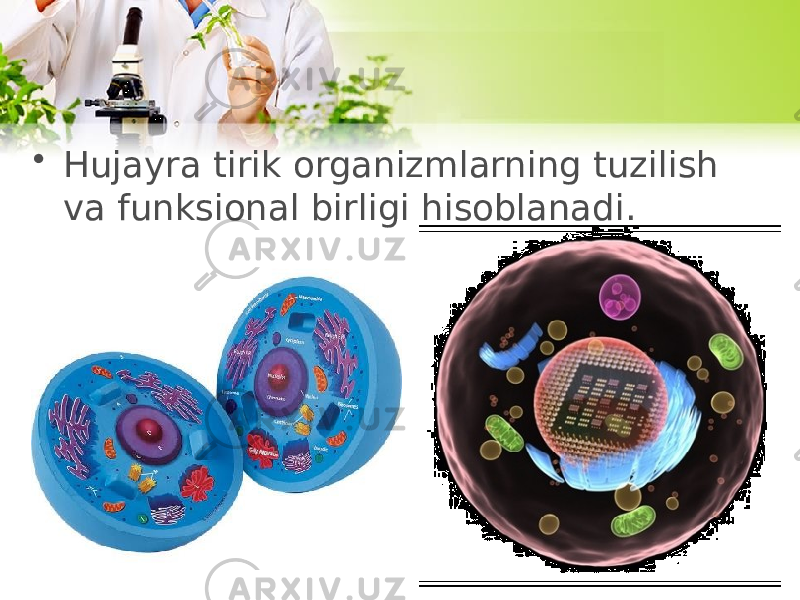 • Hujayra tirik organizmlarning tuzilish va funksional birligi hisoblanadi. 