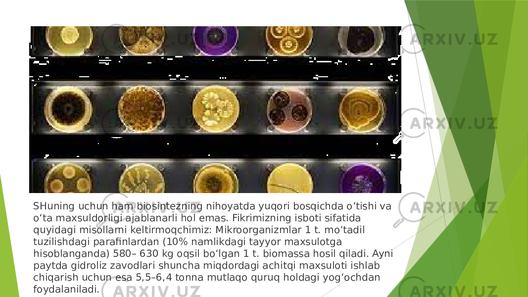 SHuning uchun ham biosintezning nihoyatda yuqori bosqichda o‘tishi va o‘ta maxsuldorligi ajablanarli hol emas. Fikrimizning isboti sifatida quyidagi misollarni keltirmoqchimiz: Mikroorganizmlar 1 t. mo‘tadil tuzilishdagi parafinlardan (10% namlikdagi tayyor maxsulotga hisoblanganda) 580– 630 kg oqsil bo‘lgan 1 t. biomassa hosil qiladi. Ayni paytda gidroliz zavodlari shuncha miqdordagi achitqi maxsuloti ishlab chiqarish uchun esa 5,5–6,4 tonna mutlaqo quruq holdagi yog‘ochdan foydalaniladi. 