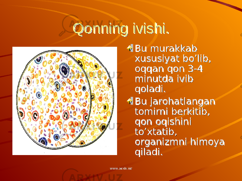 Qonning ivishi.Qonning ivishi. Bu murakkab Bu murakkab xususiyat bo’lib, xususiyat bo’lib, oqqan qon 3-4 oqqan qon 3-4 minutda ivib minutda ivib qoladi.qoladi. Bu jarohatlangan Bu jarohatlangan tomirni berkitib, tomirni berkitib, qon oqishini qon oqishini to’xtatib, to’xtatib, organizmni himoya organizmni himoya qiladi.qiladi. www.arxiv.uzwww.arxiv.uz 