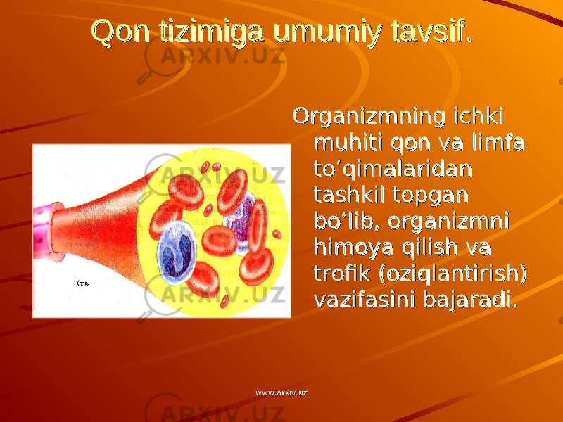 Qon tizimiga umumiy tavsif.Qon tizimiga umumiy tavsif. Organizmning ichki Organizmning ichki muhiti qon va limfa muhiti qon va limfa to’qimalaridan to’qimalaridan tashkil topgan tashkil topgan bo’lib, organizmni bo’lib, organizmni himoya qilish va himoya qilish va trofik (oziqlantirish) trofik (oziqlantirish) vazifasini bajaradi.vazifasini bajaradi. www.arxiv.uzwww.arxiv.uz 