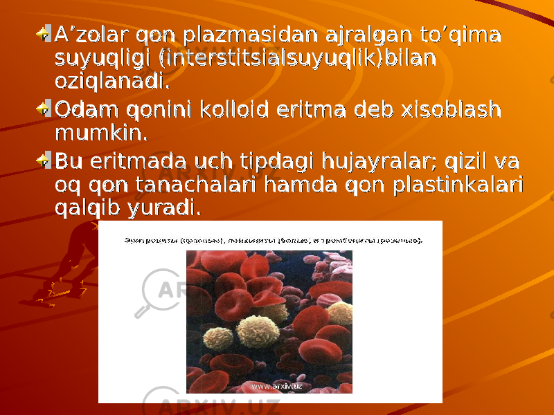 A’zolar qon plazmasidan ajralgan to’qima A’zolar qon plazmasidan ajralgan to’qima suyuqligi (interstitsialsuyuqlik)bilan suyuqligi (interstitsialsuyuqlik)bilan oziqlanadi.oziqlanadi. Odam qonini kolloid eritma deb xisoblash Odam qonini kolloid eritma deb xisoblash mumkin.mumkin. Bu eritmada uch tipdagi hujayralar; qizil va Bu eritmada uch tipdagi hujayralar; qizil va oq qon tanachalari hamda qon plastinkalari oq qon tanachalari hamda qon plastinkalari qalqib yuradi. qalqib yuradi. www.arxiv.uzwww.arxiv.uz 