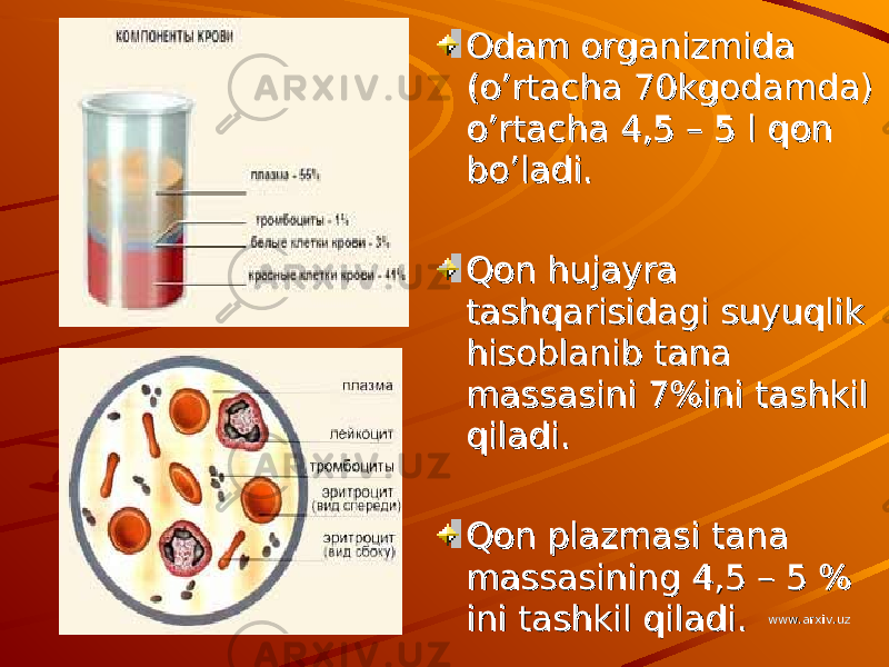 Odam organizmida Odam organizmida (o’rtacha 70kgodamda) (o’rtacha 70kgodamda) o’rtacha 4,5 – 5 l qon o’rtacha 4,5 – 5 l qon bo’ladi.bo’ladi. Qon hujayra Qon hujayra tashqarisidagi suyuqlik tashqarisidagi suyuqlik hisoblanib tana hisoblanib tana massasini 7%ini tashkil massasini 7%ini tashkil qiladi.qiladi. Qon plazmasi tana Qon plazmasi tana massasining 4,5 – 5 % massasining 4,5 – 5 % ini tashkil qiladi. ini tashkil qiladi. www.arxiv.uzwww.arxiv.uz 