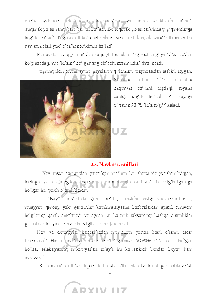 cho‘ziq-ovalsimon, cho‘zinchoq, barmoqsimon va boshqa shakllarda bo‘ladi. Tuganak po‘sti rangi ham har xil bo‘ladi. Bu tuganak po‘sti tarkibidagi pigmentlarga bog‘liq bo‘ladi. Tuganak eti ko‘p hollarda oq yoki turli darajada sarg‘imtir va ayrim navlarda qizil yoki binafshako‘kimtir bo‘ladi. Kartoshka haqiqiy urug‘idan ko‘paytirilganda uning boshlang‘iya ildizchasidan ko‘p sondagi yon ildizlari bo‘lgan eng birinchi asosiy ildizi rivojlanadi. Tupning ildiz tizimi ayrim poyalarning ildizlari majmuasidan tashkil topgan. Shuning uchun ildiz tizimining baquvvat bo‘lishi tupdagi poyalar soniga bog‘liq bo‘ladi. Bir poyaga o‘rtacha 20-25 ildiz to‘g‘ri keladi. 2.3. Navlar tasniflari Nav inson tomonidan yaratilgan ma’lum bir sharoitida yetishtiriladigan, biologik va morfologik ko‘rsatkichlari bo‘yicha qimmatli xo‘jalik belgilariga ega bo‘lgan bir guruh o‘simliklardir. “Nav” – o‘simliklar guruhi bo‘lib, u nasldan naslga barqaror o‘tuvchi, muayyan genotip yoki genotiplar kombinatsiyasini boshqalardan ajratib turuvchi belgilariga qarab aniqlanadi va aynan bir botanik toksondagi boshqa o‘simliklar guruhidan bir yoki birnechta belgilari bilan farqlanadi. Nav va duragaylar kartoshkadan muntazam yuqori hosil olishni asosi hisoblanadi. Hosilni oshirishda ushbu omilning ulushi 30-60% ni tashkil qiladigan bo‘lsa, seleksiyaning imkoniyatlari tufayli bu ko‘rsatkich bundan buyon ham oshaveradi. Bu navlarni kiritilishi tuproq-iqlim sharoitimizdan kelib chiqgan holda ekish 11 