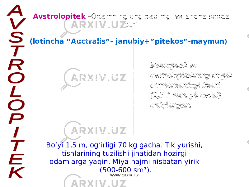 Avstrolopitek – Odamning eng qadimgi va ancha sodda turi . ( lotincha “Auctralis”- janubiy+”pitekos”-maymun ) Ramapitek va avstrolopitekning tropik o’rmonlardagi izlari (1,5-1 mln. yil avval) aniqlangan. Bo’yi 1,5 m, og’irligi 70 kg gacha. Tik yurishi, tishlarining tuzilishi jihatidan hozirgi odamlarga yaqin. Miya hajmi nisbatan yirik (500-600 sm³). www.arxiv.uz 