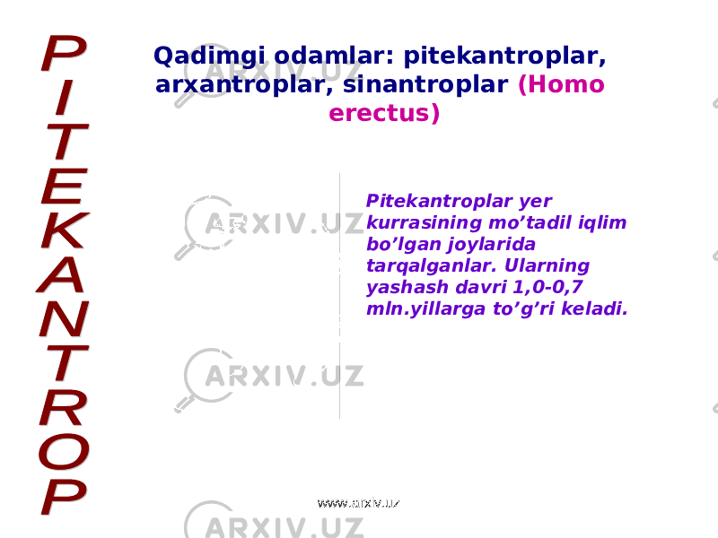 Pitekantroplar yer kurrasining mo’tadil iqlim bo’lgan joylarida tarqalganlar. Ularning yashash davri 1,0-0,7 mln.yillarga to’g’ri keladi.Qadimgi odamlar: pitekantroplar, arxantroplar, sinantroplar (Homo erectus) www.arxiv.uz 