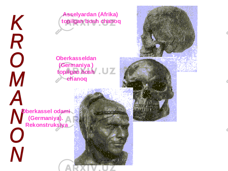 Oberkassel odami (Germaniya). Rekonstruksiya Asselyardan (Afrika) topilgan bosh chanoq Oberkasseldan (Germaniya ) topilgan bosh chanoq www.arxiv.uz 