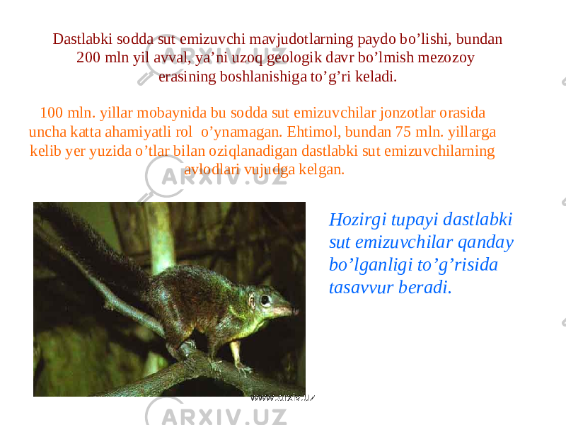 Dastlabki sodda sut emizuvchi mavjudotlarning paydo bo’lishi, bundan 200 mln yil avval, ya’ni uzoq geologik davr bo’lmish mezozoy erasining boshlanishiga to’g’ri keladi. 100 mln. yillar mobaynida bu sodda sut emizuvchilar jonzotlar orasida uncha katta ahamiyatli rol o’ynamagan. Ehtimol, bundan 75 mln. yillarga kelib yer yuzida o’tlar bilan oziqlanadigan dastlabki sut emizuvchilarning avlodlari vujudga kelgan. Hozirgi tupayi dastlabki sut emizuvchilar qanday bo’lganligi to’g’risida tasavvur beradi. www.arxiv.uz 