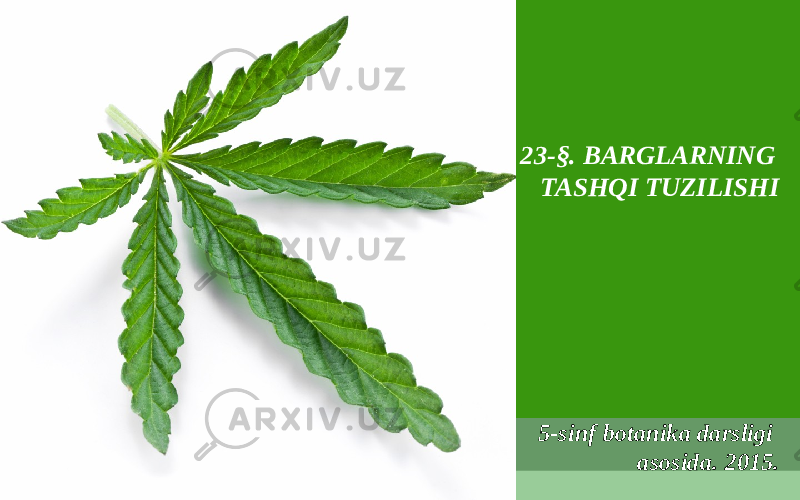 23 - §. BARGLARNING TASHQI TUZILISHI 5-sinf botanika darsligi asosida . 201 5. 