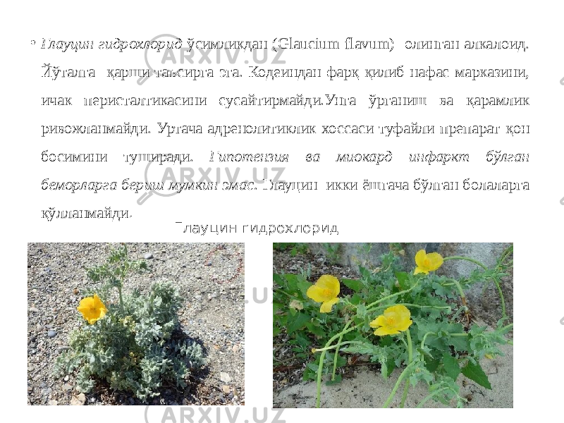 • Глауцин гидрохлорид ўсимликдан (Glaucium flavum) олинган алкалоид. Йўталга қарши таъсирга эга. Кодеиндан фарқ қилиб нафас марказини, ичак перисталтикасини сусайтирмайди.Унга ўрганиш ва қарамлик ривожланмайди. Уртача адренолитиклик хоссаси туфайли препарат қон босимини туширади. Гипотензия ва миокард инфаркт бўлган беморларга бериш мумкин эмас . Глауцин икки ёшгача бўлган болаларга қўлланмайди . Глауцин гидрохлорид 