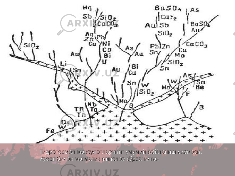 Гидротермал маҳсулотларнинг умумий жойланиш схемаси. Крест билан магматик жинслар кўрсатилган 