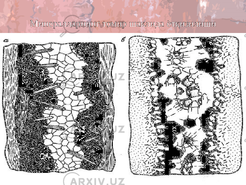 Минералларнинг томир шаклида ётқизилиши 