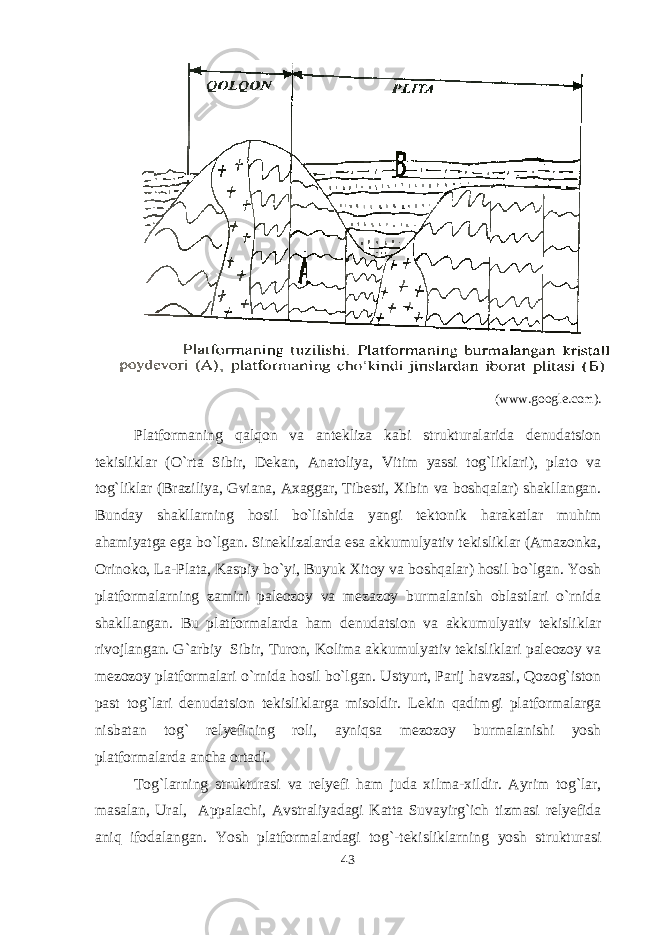 (www.google.com). Platformaning qalqon va antekliza kabi strukturalarida denudatsion tekisliklar (O`rta Sibir, Dekan, Anatoliya, Vitim yassi tog`liklari), plato va tog`liklar (Braziliya, Gviana, Axaggar, Tibesti, Xibin va boshqalar) shakllangan. Bunday shakllarning hosil bo`lishida yangi tektonik harakatlar muhim ahamiyatga ega bo`lgan. Sineklizalarda esa akkumulyativ tekisliklar (Amazonka, Orinoko, La-Plata, Kaspiy bo`yi, Buyuk Xitoy va boshqalar) hosil bo`lgan. Yosh platformalarning zamini paleozoy va mezazoy burmalanish oblastlari o`rnida shakllangan. Bu platformalarda ham denudatsion va akkumulyativ tekisliklar rivojlangan. G`arbiy Sibir, Turon, Kolima akkumulyativ tekisliklari paleozoy va mezozoy platformalari o`rnida hosil bo`lgan. Ustyurt, Parij havzasi, Qozog`iston past tog`lari denudatsion tekisliklarga misoldir. Lekin qadimgi platformalarga nisbatan tog` relyefining roli, ayniqsa mezozoy burmalanishi yosh platformalarda ancha ortadi. Tog`larning strukturasi va relyefi ham juda xilma-xildir. Ayrim tog`lar, masalan, Ural, Appalachi, Avstraliyadagi Katta Suvayirg`ich tizmasi relyefida aniq ifodalangan. Yosh platformalardagi tog`-tekisliklarning yosh strukturasi 43 