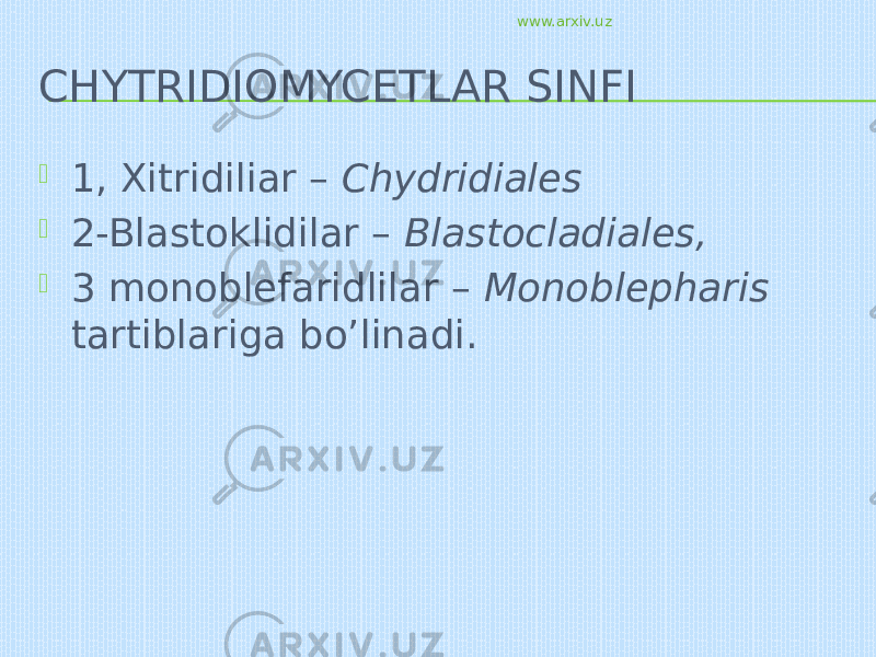 CHYTRIDIOMYCETLAR SINFI  1, Xitridiliar – Chydridiales  2-Blastoklidilar – Blastocladiales,  3 monoblefaridlilar – Monoblepharis tartiblariga bo’linadi. www.arxiv.uz 
