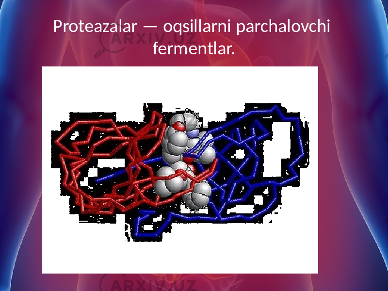 Proteazalar — oqsillarni parchalovchi fermentlar. 