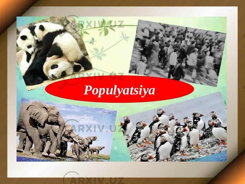 Populyatsiya 