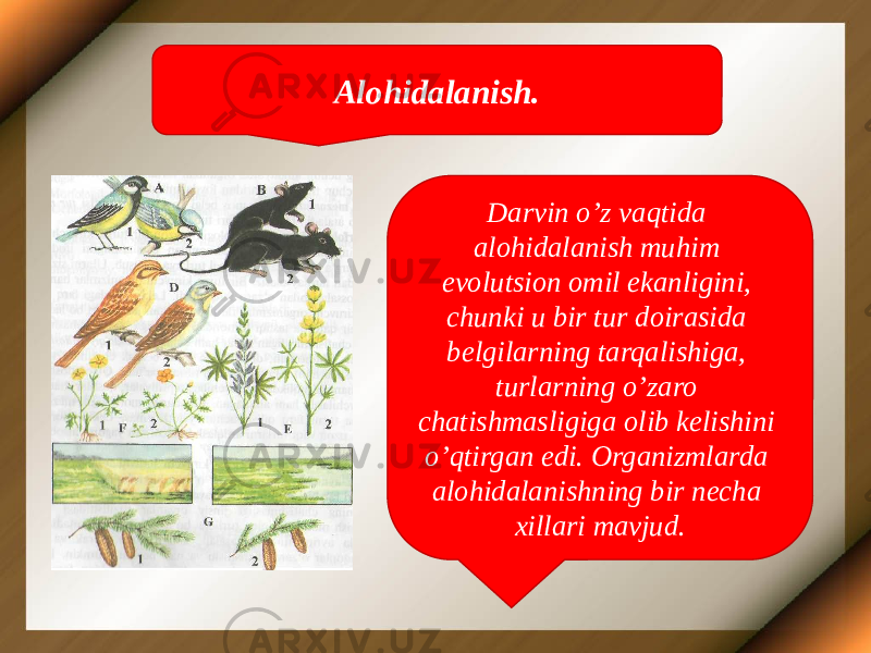 Alohidalanish. Darvin o’z vaqtida alohidalanish muhim evolutsion omil ekanligini, chunki u bir tur doirasida belgilarning tarqalishiga, turlarning o’zaro chatishmasligiga olib kelishini o’qtirgan edi. Organizmlarda alohidalanishning bir necha xillari mavjud. 