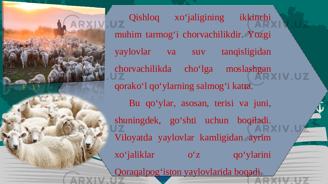 Qishloq xo‘jaligining ikkinchi muhim tarmog‘i chorvachilikdir. Yozgi yaylovlar va suv tanqisligidan chorvachilikda cho‘lga moslashgan qorako‘l qo‘ylarning salmog‘i katta. Bu qo‘ylar, asosan, terisi va juni, shuningdek, go‘shti uchun boqiladi. Viloyatda yaylovlar kamligidan ayrim xo‘jaliklar o‘z qo‘ylarini Qoraqalpog‘iston yaylovlarida boqadi. 