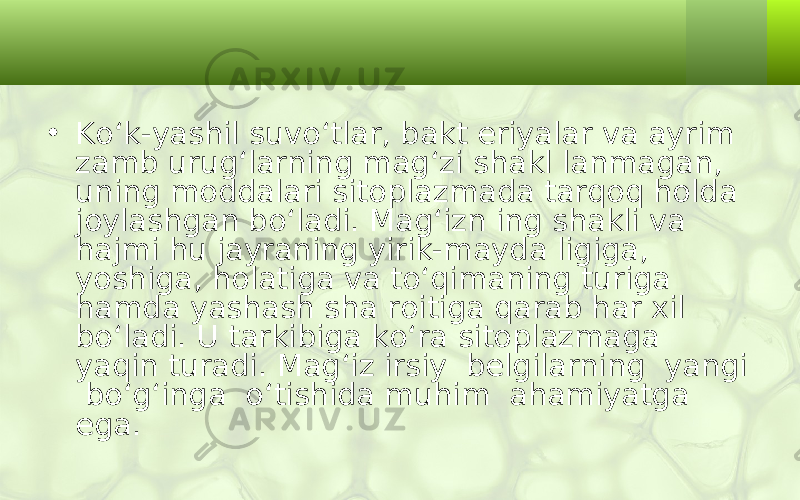 • Ko‘k-yashil suvo‘tlar, bakt eriyalar va ayrim zamb urug‘larning mag‘zi shakl lanmagan, uning moddalari sitoplazmada tarqoq holda joylashgan bo‘ladi. Mag‘izn ing shakli va hajmi hu jayraning yirik-mayda ligiga, yoshiga, holatiga va to‘qimaning turiga hamda yashash sha roitiga qarab har xil bo‘ladi. U tarkibiga ko‘ra sitoplazmaga yaqin turadi. Mag‘iz irsiy belgilarning yangi bo‘g‘inga o‘tishida muhim ahamiyatga ega. 