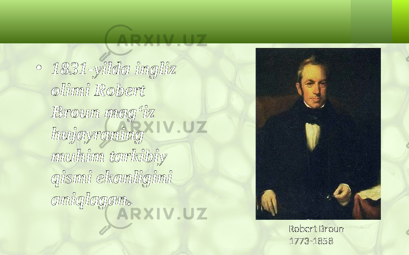 • 1831-yilda ingliz olimi Robert Broun mag‘iz hujayraning muhim tarkibiy qismi ekanligini aniqlagan. Robert Broun 1773-1858 