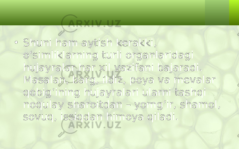 • Shuni ham aytish kerakki, o‘simliklarning turli organlaridagi hujayralar har xil vazifani bajaradi. Masalan, barg, ildiz, poya va mevalar qobig‘ining hujayralari ularni tashqi noqulay sharoitdan – yomg‘ir, shamol, sovuq, issiqdan himoya qiladi. 