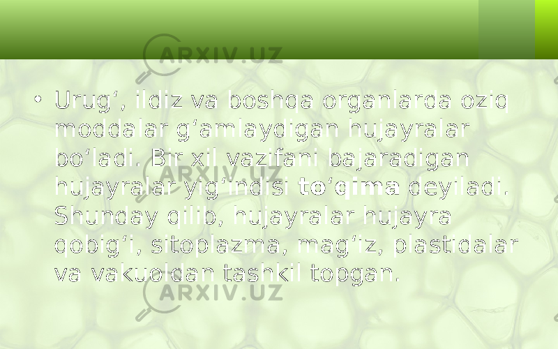 • Urug‘, ildiz va boshqa organlarda oziq moddalar g‘amlaydigan hujayralar bo‘ladi. Bir xil vazifani bajaradigan hujayralar yig‘indisi to ‘ qima deyiladi. Shunday qilib, hujayralar hujayra qobig‘i, sitoplazma, mag‘iz, plastidalar va vakuoldan tashkil topgan. 