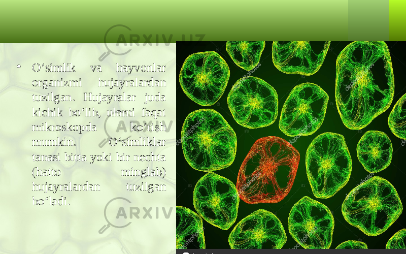 • O‘simlik va hayvonlar organizmi hujayralardan tuzilgan. Hujayralar juda kichik bo‘lib, ularni faqat mikroskopda ko‘rish mumkin. O‘simliklar tanasi bitta yoki bir nechta (hatto minglab) hujayralardan tuzilgan bo‘ladi. 