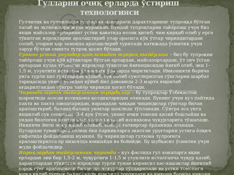 Гулларни очиқ ерларда ўстириш технологияси Гулчилик ва гулчиликда гуллар ва манзарали дарахтларнинг тупроққа бўлган талаб ва эҳтиёжлари жуда мураккаб. Бундай тупроқларни тайёрлаш учун биз яхши майсазор ерларнинг устки қаватида нозик қилиб, чим қирқиб олиб у ерга тўкилган япроқларни аралаштириб улар орасига кўк ўтлар чириндилардан солиб, уларни ҳар замонда аралаштириб турилади натижада ўсимлик учун зарур бўлган омихта тупроқ ҳосил бўлади. Ернинг устки унумдор қатламидан тупроқ тайёрлаш – биз бу тупроқни тайёрлаш учун қўй қўтанлари бўлган ерлардан, майсазорлардан, ўт зич ўсган ерлардан кузда тўкилган япроқлар тўкилган йиғиндисидан йиғиб олиб, эни 1- 1,5 м, узунлиги исталган ўлчовдаги ўраларда чиритилади. Имконияти борича унга турли хил гўнглардан қўшиб, сув солиб суюлтирилган гўнгларни шарбат тариқасида унинг устидан қўйиб йил давомида 2-3 марта яхшилаб ағдарилгандан сўнгра тайёр чиринди ҳосил бўлади. Чириндилардан тайёрланган тупроқлар – бу тупроқлар Ўзбекистон шароитида асосан иссиқхона қолдиқларидан олинади. Бунинг учун куз пайтида пахта ва пахта заводларидан, варақадан чиққан чиқиндилар гўнглар билан аралаштириб, баланд-баланд уюмлар шаклида тўпланади. Сўнгра эса унга яхшилаб сув сепилади. 3-4 кун ўтгач, унинг ички томони қизий бошлайди ва ундан биологик иситкичлар ҳосил қилиниб иссиқхона чуқурларига тўшалади. Иккинчи йили эса у қазиб олиниб, махсус ғалвирлар ёрдамида эланади. Булардан тувакларга солиш ёки парникларга экилган уруғларни устига ёпқич сифатида фойдаланиш мумкин. Бу чириндилар гулхона тупроғига аралаштирилса ер ниҳоятда юмшайди ва бойийди. Бу шубҳасиз ўсимлик учун жуда фойдалидир. Япроқлардан тайёрланган чиринди – куз фаслида гул хоналарга яқин ерлардан эни бир 1,5-2 м, чуқурлиги 1-1,5 м узунлиги исталганча чуқур қазиб, дарахтлардан тўкилган япроқлар турли туман кераксиз хас-хашаклар йиғилиб озроқ гўнг аралашмаси билан шу чуқурлар тўлдирилади ва устки томонига юпқа қилиб тупроқ балиқ сирти шаклида тортилади ва имкони борича имкони борича шакароб сепилади. Бу омихтани қиш ўтиши биланоқ 1-2 марта аралаштириш талаб этилади. Сўнг япроқ чириндиси ҳосил бўлади, бундай чириндилардан гулчиликда фойдаланилса яхши натижа беради . 