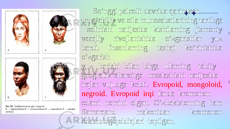 So‘nggi paleolit davrida qarindosh  urug‘chilik va oila munosabatlarining tartibga   solinishi  natijasida  kishilarning  jismoniy  vaaqliy  rivojlanishida  o‘zgarishlar  yuz  berdi.  Insonlarning  tashqi  ko‘rinishida  o‘zgarish  yuz  berishi bilan birga  ularning   tabiiy – geografik  sharoitga   moslashishi  natijasida  irqlar  vujudga  keldi.  Evropoid,  mongoloid,  negroid.  Evropoid  irqi   fanda  kromonon  odami  nomini  olgan.  O‘zbekistonning  ham  Samarqand  makonidan  kromonon  odamning qoldiqlari  topilgan. 