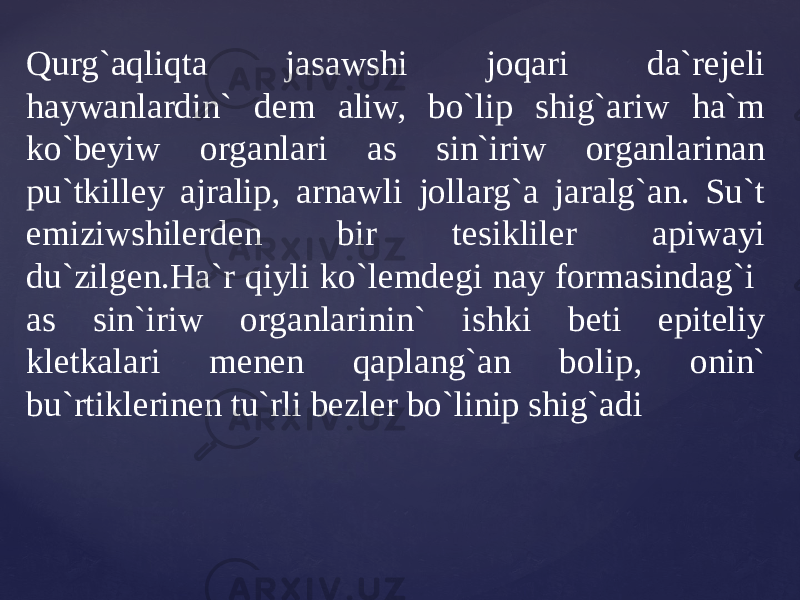 Qurg`aqliqta jasawshi joqari da`rejeli haywanlardin` dem aliw, bo`lip shig`ariw ha`m ko`beyiw organlari as sin`iriw organlarinan pu`tkilley ajralip, arnawli jollarg`a jaralg`an. Su`t emiziwshilerden bir tesikliler apiwayi du`zilgen.Ha`r qiyli ko`lemdegi nay formasindag`i as sin`iriw organlarinin` ishki beti epiteliy kletkalari menen qaplang`an bolip, onin` bu`rtiklerinen tu`rli bezler bo`linip shig`adi 