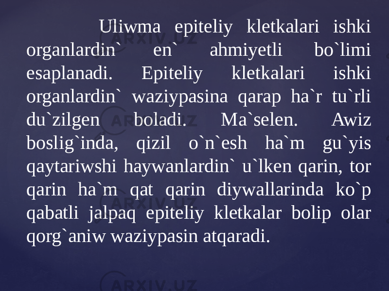  Uliwma epiteliy kletkalari ishki organlardin` en` ahmiyetli bo`limi esaplanadi. Epiteliy kletkalari ishki organlardin` waziypasina qarap ha`r tu`rli du`zilgen boladi. Ma`selen. Awiz boslig`inda, qizil o`n`esh ha`m gu`yis qaytariwshi haywanlardin` u`lken qarin, tor qarin ha`m qat qarin diywallarinda ko`p qabatli jalpaq epiteliy kletkalar bolip olar qorg`aniw waziypasin atqaradi. 