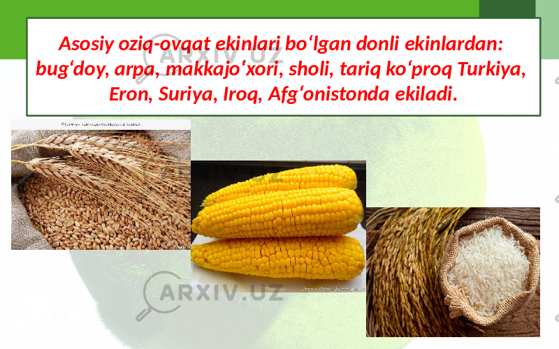 Asosiy oziq-ovqat ekinlari bo‘lgan donli ekinlardan: bug‘doy, arpa, makkajo‘xori, sholi, tariq ko‘proq Turkiya, Eron, Suriya, Iroq, Afg‘onistonda ekiladi. 