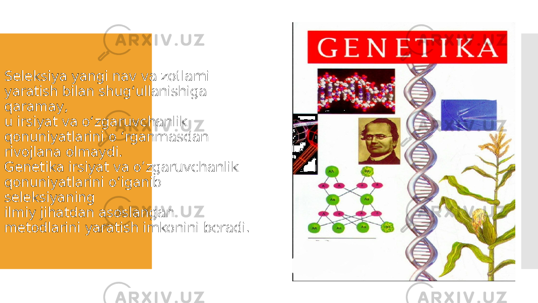 Seleksiya yangi nav va zotlami yaratish bilan shug‘ullanishiga qaramay, u irsiyat va o‘zgaruvchanlik qonuniyatlarini o ‘rganmasdan rivojlana olmaydi. Genetika irsiyat va o’zgaruvchanlik qonuniyatlarini o‘iganib seleksiyaning ilmiy jihatdan asoslangan metodlarini yaratish imkonini beradi. 