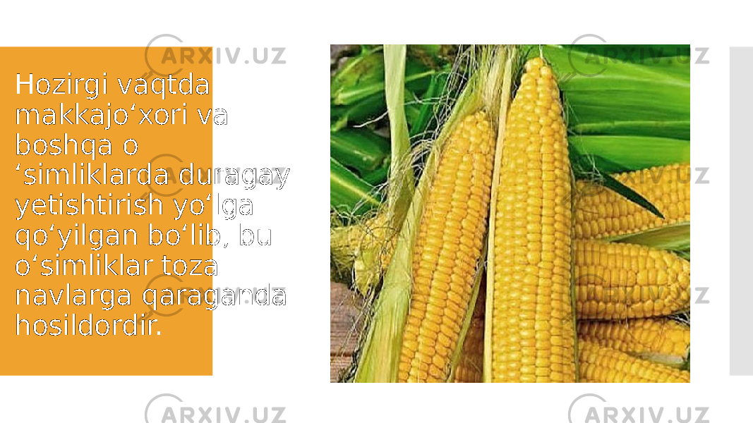 Hozirgi vaqtda makkajo‘xori va boshqa o ‘simliklarda duragay yetishtirish yo‘lga qo‘yilgan bo‘lib, bu o‘simliklar toza navlarga qaraganda hosildordir. 