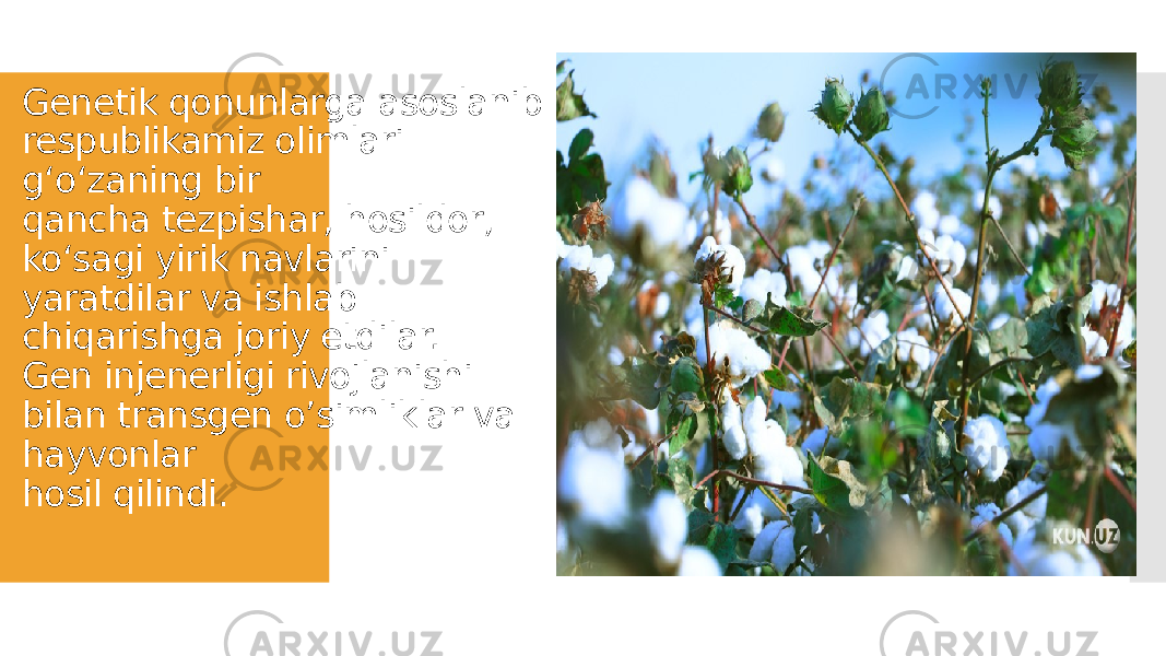 Genetik qonunlarga asoslanib respublikamiz olimlari g‘o‘zaning bir qancha tezpishar, hosildor, ko‘sagi yirik navlarini yaratdilar va ishlab chiqarishga joriy etdilar. Gen injenerligi rivojlanishi bilan transgen o’simliklar va hayvonlar hosil qilindi. 