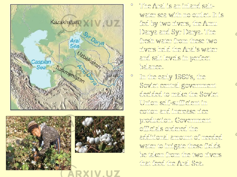 • The Aral is an inland salt- water sea with no outlet. It is fed by two rivers, the Amu Darya and Syr Darya. The fresh water from these two rivers held the Aral&#39;s water and salt levels in perfect balance. • In the early 1960&#39;s, the Soviet central government decided to make the Soviet Union self-sufficient in cotton and increase rice production. Government officials ordered the additional amount of needed water to irrigate these fields be taken from the two rivers that feed the Aral Sea. 