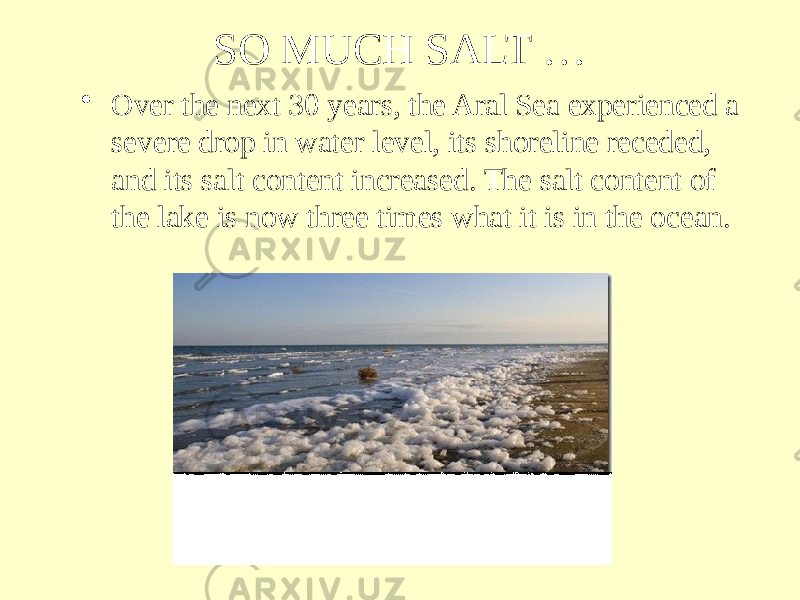 SO MUCH SALT … • Over the next 30 years, the Aral Sea experienced a severe drop in water level, its shoreline receded, and its salt content increased. The salt content of the lake is now three times what it is in the ocean. 