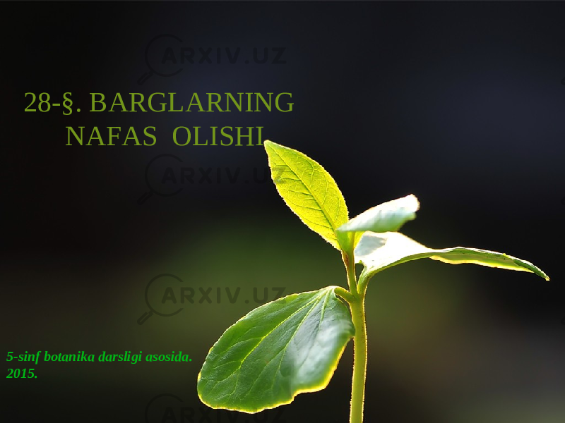 28-§. BARGLARNING NAFAS OLISHI 5-sinf botanika darsligi asosida . 201 5. 