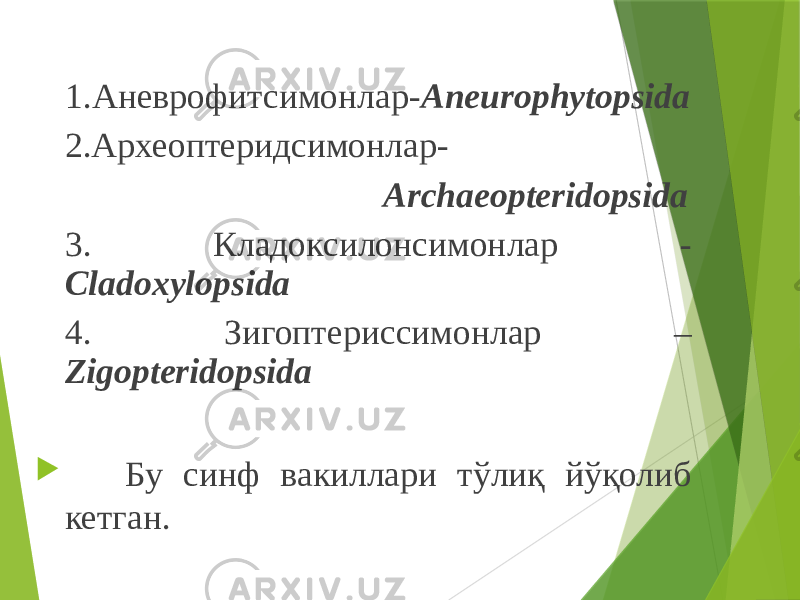 1.Аневрофитсимонлар- Aneurophytopsida 2.Археоптеридсимонлар- Archaeopteridopsida 3. Кладоксилонсимонлар - Cladoxylopsida 4. Зигоптериссимонлар – Zigopteridopsida  Бу синф вакиллари тўлиқ йўқолиб кетган. 